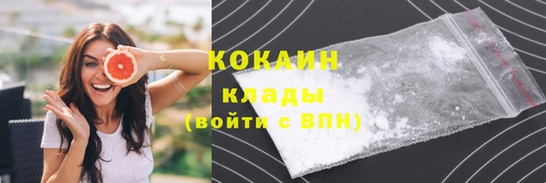 твердый Арсеньев