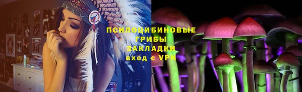 дурь Аркадак