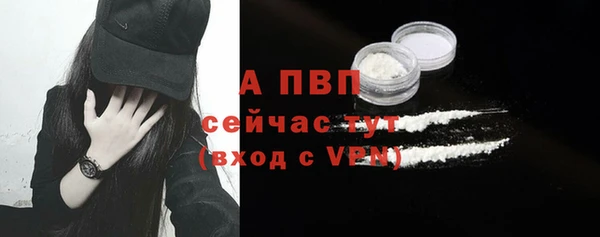 твердый Арсеньев