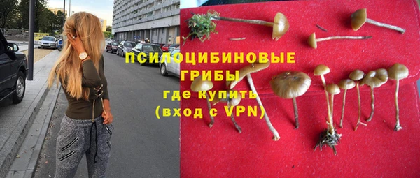 твердый Арсеньев
