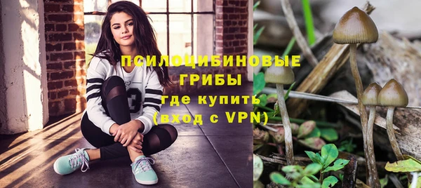твердый Арсеньев