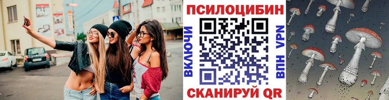 hydra ссылка Светлогорск Псилоцибиновые грибы ЛСД